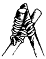 Thumbnail for version as of 20:30, 5 February 2024