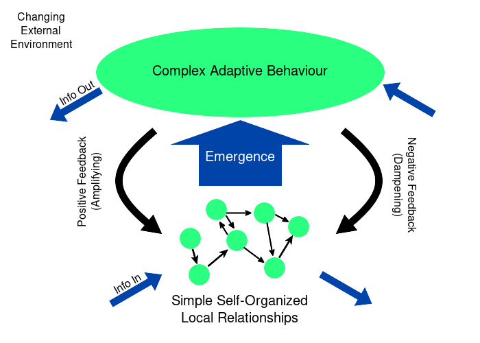 File:Complex adaptive system.svg