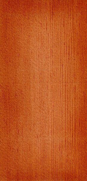 File:Wood Pseudotsuga taxifolia.jpg