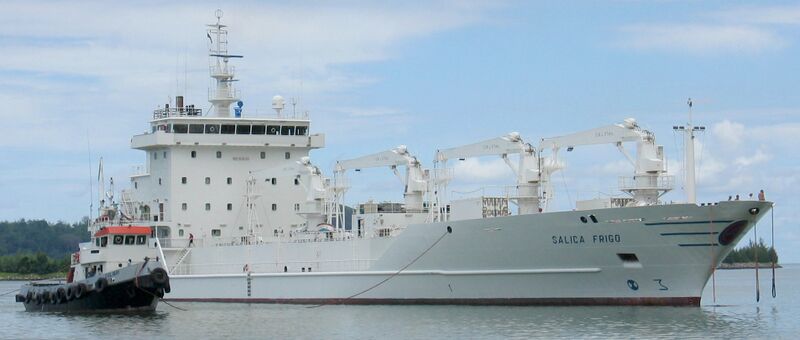 File:Salica Frigo cropped.jpg
