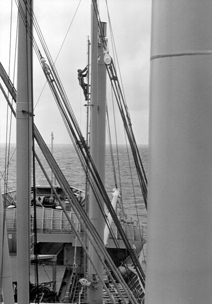File:Aloft2.jpg