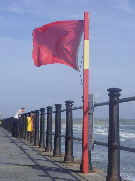 File:Red flag at beach.jpg