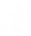 Thumbnail for version as of 09:10, 7 January 2024
