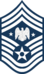 USAF Senior Enlisted Advisor for the National Guard Bureau.svg