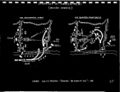Thumbnail for version as of 12:13, 6 October 2024