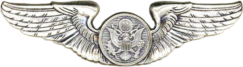 File:USAAF Aircrew Badge.png