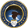 Seal of the United States Cyber Command.svg