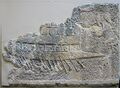Thumbnail for version as of 13:17, 29 January 2024