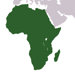 File:Africa icon.svg