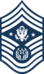 E9d USAF CMSAF.svg