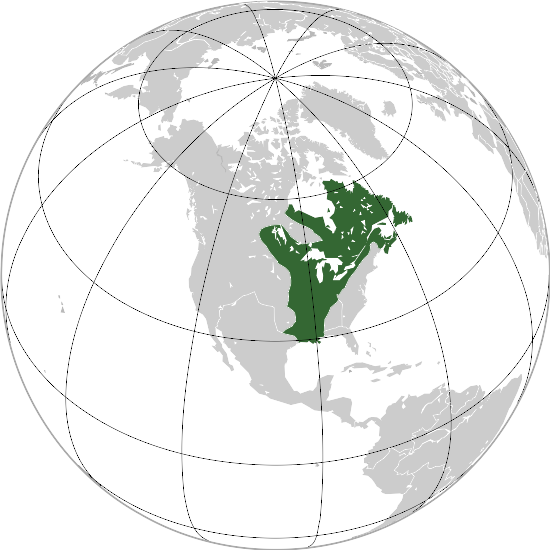 File:New France (orthographic projection).svg