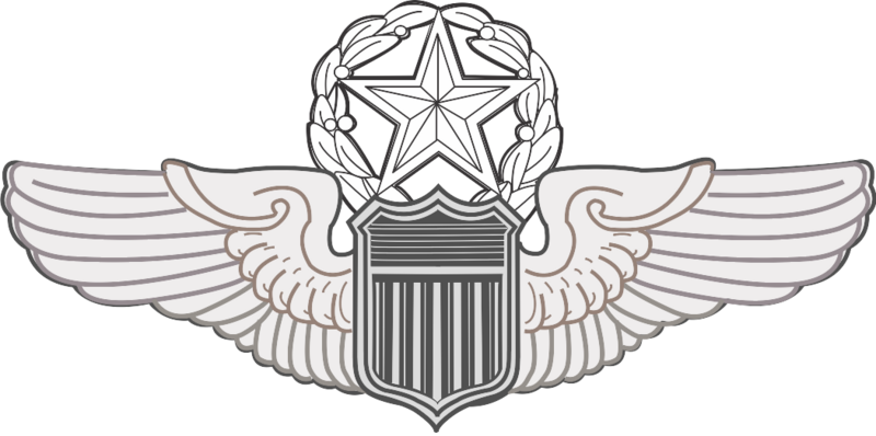 File:USAF Command Pilot Wings.svg