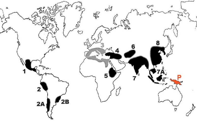 File:Vavilov-centers updated.jpg