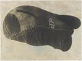 Thumbnail for version as of 20:18, 25 April 2024