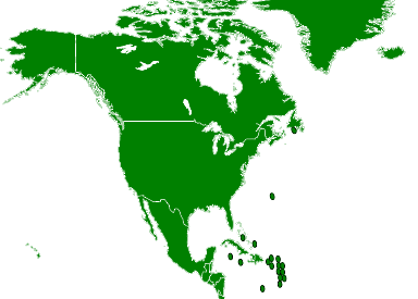 File:North America.svg