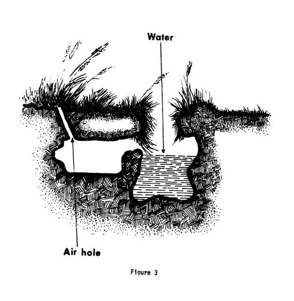 File:Hole Huntin Figure 3.jpg