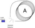 Thumbnail for version as of 09:03, 27 January 2025