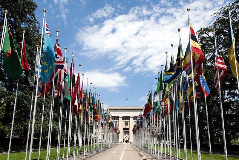 File:United Nations Flags - cropped.jpg