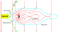 Thumbnail for version as of 21:18, 30 November 2023